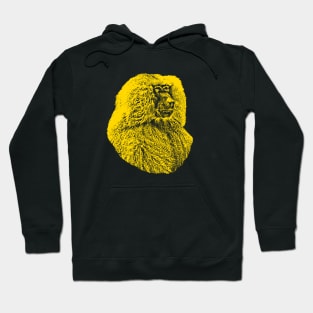 Baboon Hoodie